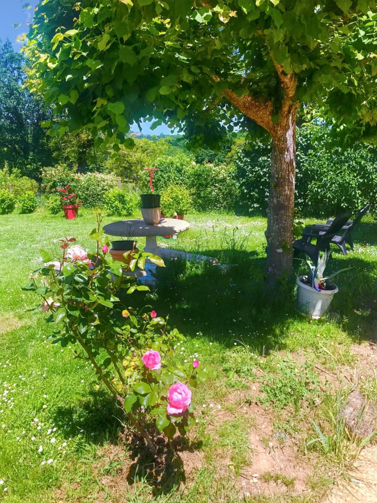 Appartement Charmant A Toulonjac Avec Jardin Et Terrasse 110 M² Екстериор снимка